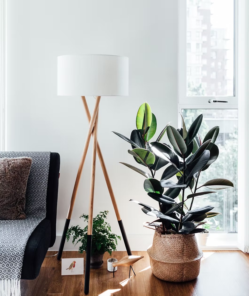 Living room with floor lamp and plant