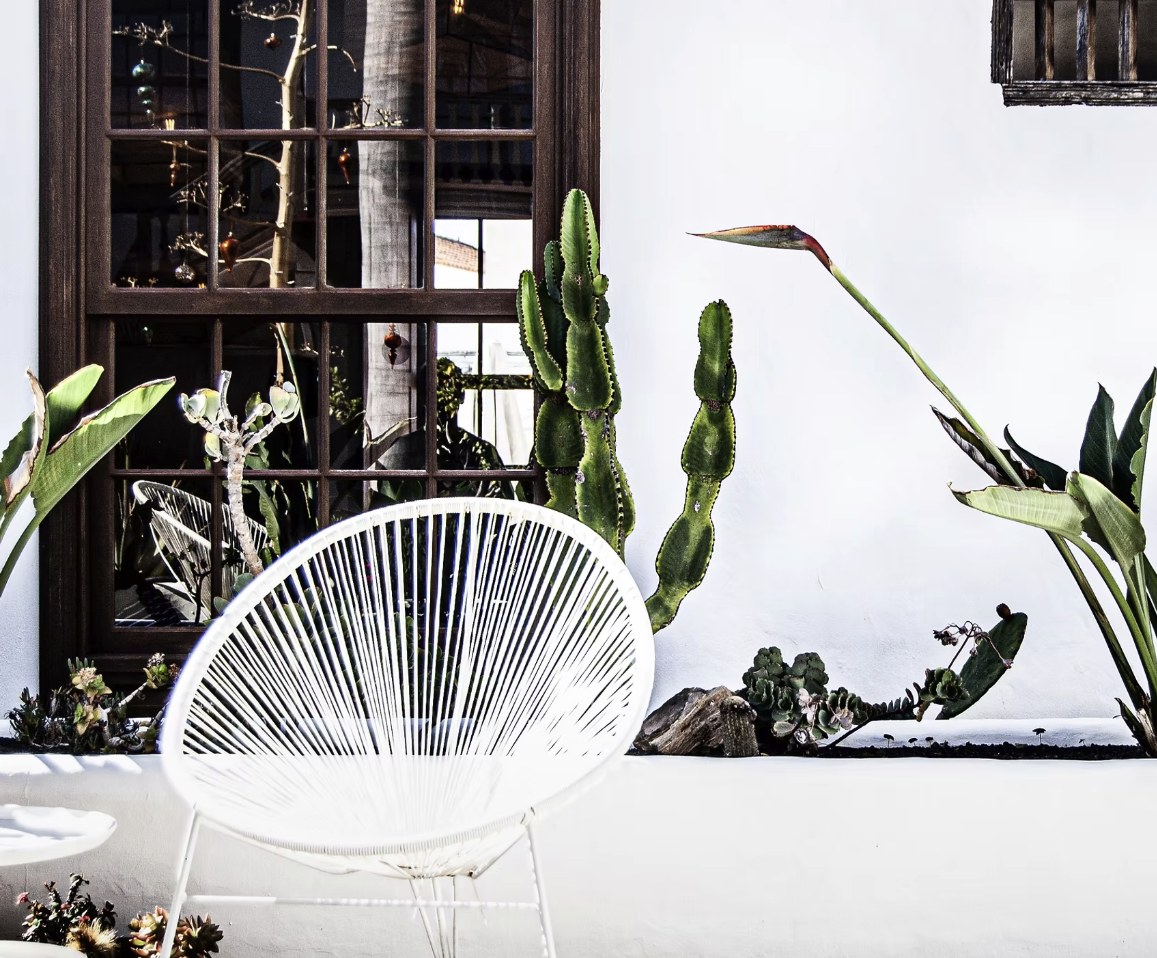 White chair against a wall with cacti